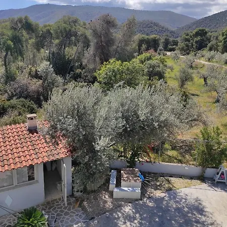 Tasos Art Appartement